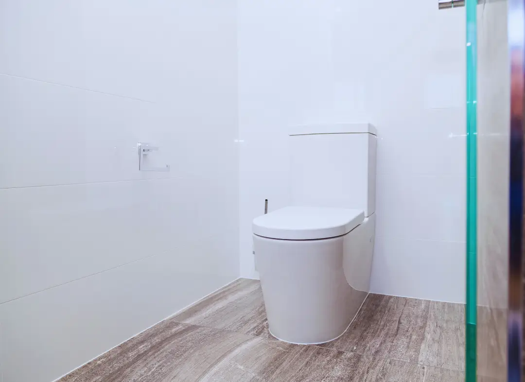 Remplacement de wc Hayange